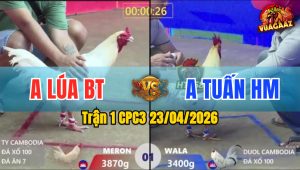 Trận 1 CPC3 23/04/2026 - Gà Xanh Có Chân Cựa Chí Mạng Hạ Gà Đỏ