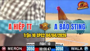 Trận 10 CPC2 04/04/2026 - Đỏ Đá Trên Lưng Xanh Hư Hình Hết Cứu