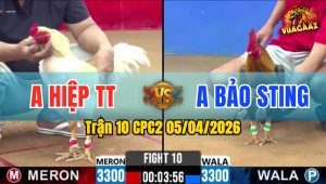 Trận 10 CPC2 05/04/2026 - Đỏ Đá Trên Lưng Xanh Hư Hình Hết Cứu