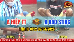 Trận 10 CPC2 06/04/2026 - Đỏ Đá Trên Lưng Xanh Hư Hình Hết Cứu