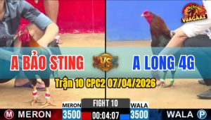 Trận 10 CPC2 07/04/2026 - Điều Đá Que Đem Xe Đi Cầm