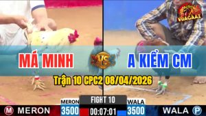 Trận 10 CPC2 08/04/2026 - Điều Quá Nhanh Chân Bướm Đứng Hình Kêu Miệng