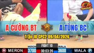 Trận 10 CPC2 09/04/2026 - Đỏ Quá Lực Đá Xanh La Miệng Phút 90