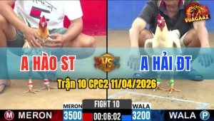 Trận 10 CPC2 11/04/2026 - Úa Tung Chân Quyết Định Bướm Hư Hình Lật Xe