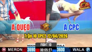 Trận 10 CPC2 12/04/2026 - Úa Buôn Đuôi Bướm Gãy Chân Nằm Biệt