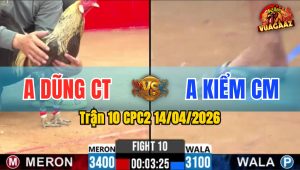 Trận 10 CPC2 14/04/2026 - Xám Quá May Độ Lên Chân Trói Điều Nằm Tại Chỗ Phản Tang Ăn 1