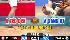 Trận 10 CPC2 15/04/2026 - Điều Quá Tốc Độ Đá Bướm Nằm Ói 1 Chỗ