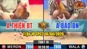 Trận 10 CPC2 16/04/2026 - Xanh Thủ Huề Quá Hay Khi Bị Dẫn Tang Ăn 1