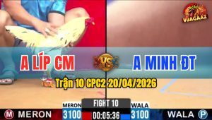 Trận 10 CPC2 20/04/2026 - Bướm Nhanh Như Tép Đá Xanh Hư Hình Nhanh Lẹ