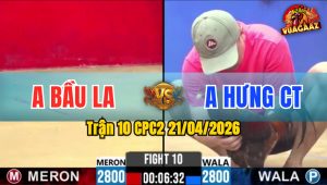 Trận 10 CPC2 21/04/2026 - Xanh Đâm Toàn Đầu Đỏ Hư Hình Bỏ Chạy