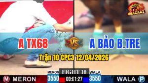 Trận 10 CPC3 12/04/2026 - BƯỚM PHẢN ĐÒN KẾT LIỄU ĐIỀU VÀNG ĐẲNG CẤP