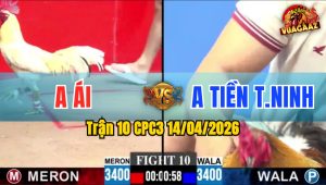 Trận 10 CPC3 14/04/2026 - Đỏ Nạp Siết Hạ Xanh Nhanh Gọn