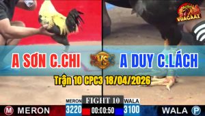 Trận 10 CPC3 18/04/2026 - Chuối Phản Chân  Điều Chết Tại Chỗ