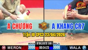 Trận 10 CPC3 23/04/2026 - Gà Khét Nạp Siết Úa Hư Hình Chạy Hoảng