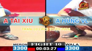 Trận 10 CPC3 31/03/2026 - Xanh Đá 3 Chân Bưng Đỏ Ra Sân