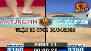 Trận 11 CPC2 03/04/2026 - Xanh Đá 3 Chân Bưng Đỏ Ra Ngoài lỗi bồ ko xem đc