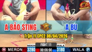 Trận 11 CPC2 08/04/2026 - Idol Hừng Quá Hừng Đá Sao Cũng Lụm