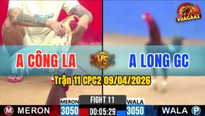 Trận 11 CPC2 09/04/2026 - Bướm Giao Nạp Quá Tịch Điều Hư Hình Hết Cứu