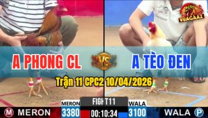 Trận 11 CPC2 10/04/2026 - Vàng Rồng Quá Dẽo Đá Úa Hư Hình Là Miệng