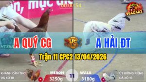 Trận 11 CPC2 13/04/2026 - Điều Bò Chạy Bướm Rượt Theo Điều Trả Chân Bướm Tốc Chạy
