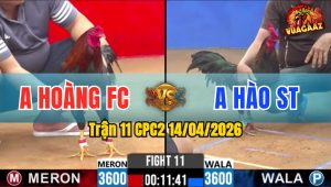 Trận 11 CPC2 14/04/2026 - Xanh Đâm Mu Lưng Bưng Điều Ra Ngoài Nhanh Lẹ