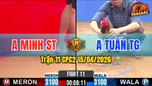 Trận 11 CPC2 15/04/2026 - Xanh Đâm Như Xôm Đỏ Lật Xe Bưng Ra