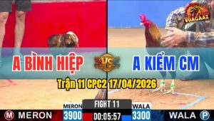 Trận 11 CPC2 17/04/2026 - Xam Idol Buôn Đuôi Vẫn Đá Khét Nằm Tại Chỗ Khi Đối Thủ Nặng 600g