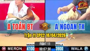 Trận 11 CPC2 18/04/2026 - Điều Qúa Tốt Buông Đuôi Bướm Nằm Biệt Sau Vài Chân