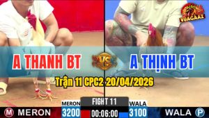 Trận 11 CPC2 20/04/2026 - Bướm Buông Đuôi Khét Nằm 1 Đống