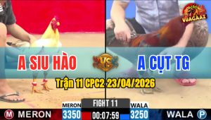 Trận 11 CPC2 23/04/2026 - Gà Úa Làm 1 Tăng Đối Thủ Hết Biết Mình