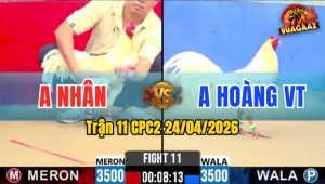 Trận 11 CPC2 24/04/2026 - Đỏ Chưa Thả Dí Bạc Cho Cố Buông Ra XanH Đá Xỉu Tại Chỗ