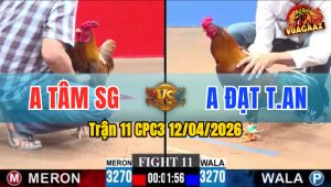 Trận 11 CPC3 12/04/2026 - ĐIỀU ĐÂM KHÉT HẾT ĐƯỜNG NHANH GỌN