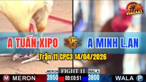 Trận 11 CPC3 14/04/2026 - Úa Đâm Điều Như Tổ Ong