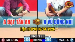 Trận 11 CPC3 16/04/2026 - Điều Đâm Chuối Nằm 1 Đóng Sau Mấy Chân