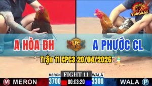 Trận 11 CPC3 20/04/2026 - Xanh Nhấp Nhả Quang Bả Làm Đỏ Lật Xe Xin Hàng