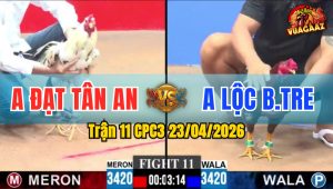 Trận 11 CPC3 23/04/2026 - Gà Xám Nạp 3 Cước Có Luôn Kết Quả