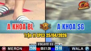 Trận 11 CPC3 25/04/2026 - Gà Bướm Anh Khoa BL Đá Toàn Cựa Tịch