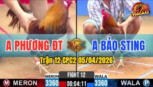 Trận 12 CPC2 05/04/2026 - Đỏ Ra Chân Quyết Định Xanh Hư Hình Hết Đứng Phút 90