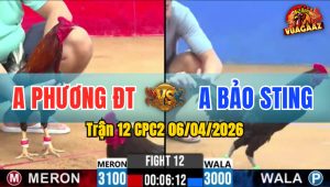 Trận 12 CPC2 06/04/2026 - Đỏ Ra Chân Quyết Định Xanh Hư Hình Hết Đứng Phút 90