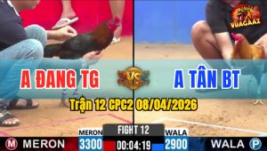 Trận 12 CPC2 08/04/2026 - Khét Đá 3 Chân Bưng Điều Ra Ngoài