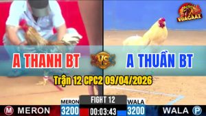 Trận 12 CPC2 09/04/2026 - Úa Đá Cú Không Kịp Trở Mình Sau 2 Tay Nước