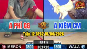 Trận 12 CPC2 10/04/2026 - Bướm Bỏ Ô Đầy Tiếc Nuối Hòa Tiền