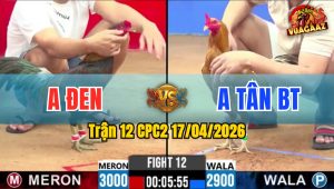 Trận 12 CPC2 17/04/2026 - Khét Nhanh Như Tép Đá Trên Lưng Điều Hư Hình Bưng Ra