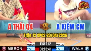 Trận 12 CPC2 20/04/2026 - Đỏ Đá Xanh Nằm Tang Ăn 1 Idol Thả Đứng Xanh Ra Chân Đỏ Tại Chỗ