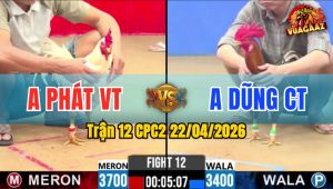 Trận 12 CPC2 22/04/2026 - Gà Anh Dũng Cần Thơ Đá Toàn Cựa Tịch