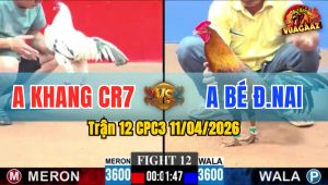 Trận 12 CPC3 11/04/2026 - XANH THẤM ĐÒN . ĐỨNG K NỔI .