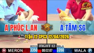 Trận 12 CPC3 12/04/2026 - ÚA HẾT GỒNG NỔI KHI CÚ ĐÂM NHIỀU CHỖ CHÍ MẠNG