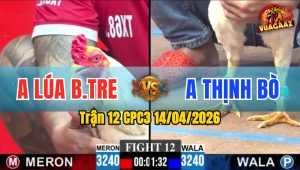 Trận 12 CPC3 14/04/2026 - Bướm Quá Trâu  Phản Đòn Khét Buông Chạy