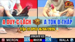 Trận 12 CPC3 16/04/2026 - Điều Đá Như Sấm  Mấy Chân Có Kết Quả