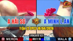 Trận 12 CPC3 18/04/2026 - Xanh Trả Đòn Hiểm Đỏ Nằm 1 Đóng